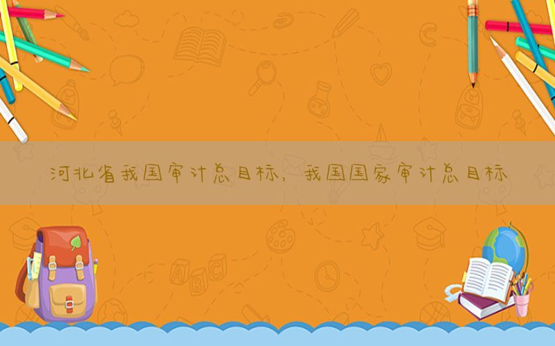 河北省我国审计总目标，我国国家审计总目标